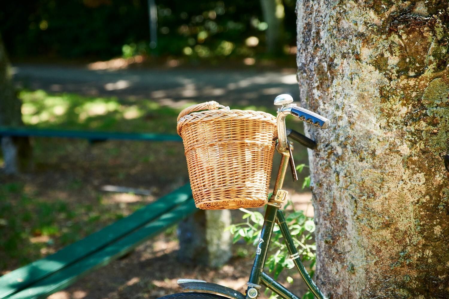 Een rieten mandje bevestigd aan het frame van een fiets, leunend tegen een boom.
