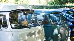A vintage VW bus parked next to a blue car in a sunny outdoor setting.
