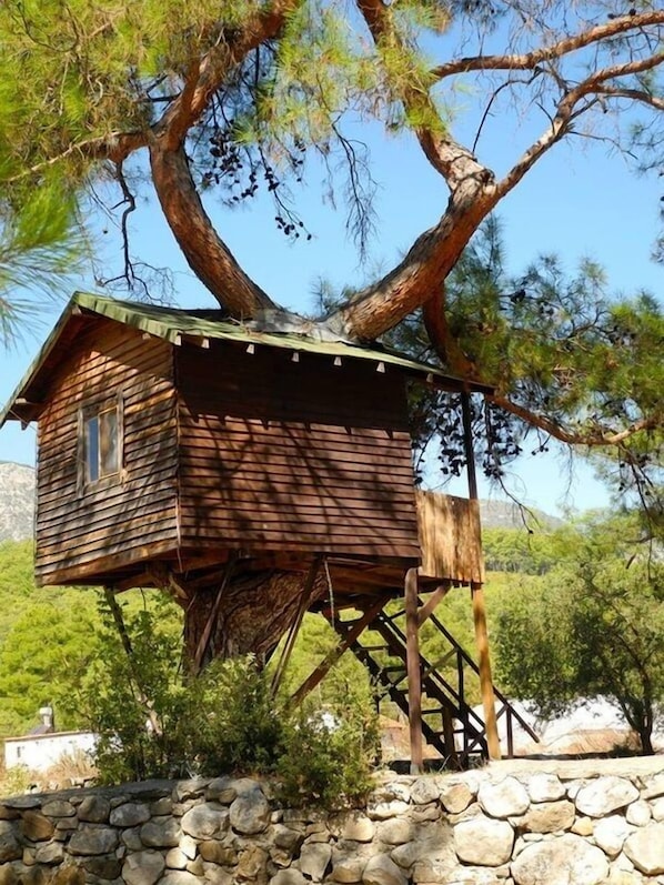 Exterior - Olympos Woods - Adults Only (Kumluca)