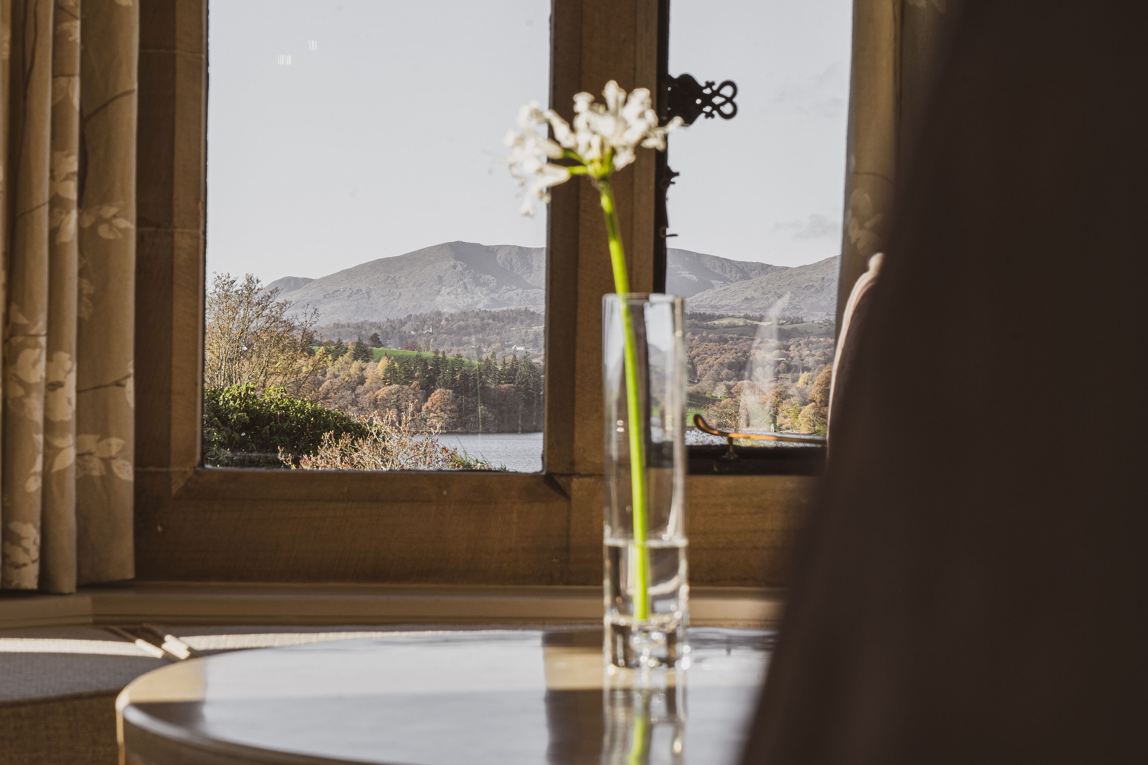 A window with a view of mountains and trees, a vase with a flower, and a curtain partially visible.