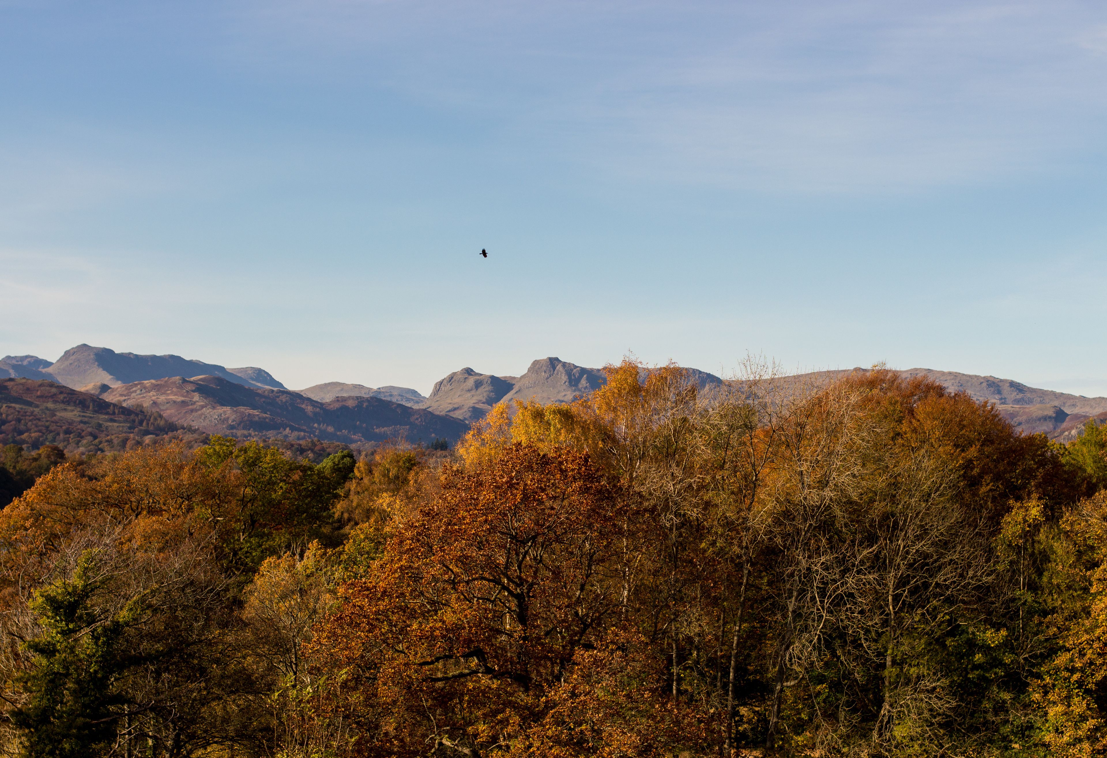 double or twin room, ground floor | mountain view