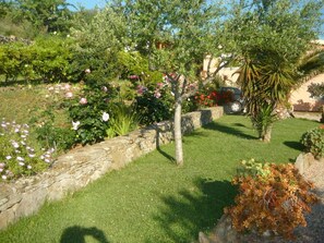 Property grounds - Li Muntigeddi (San Teodoro)