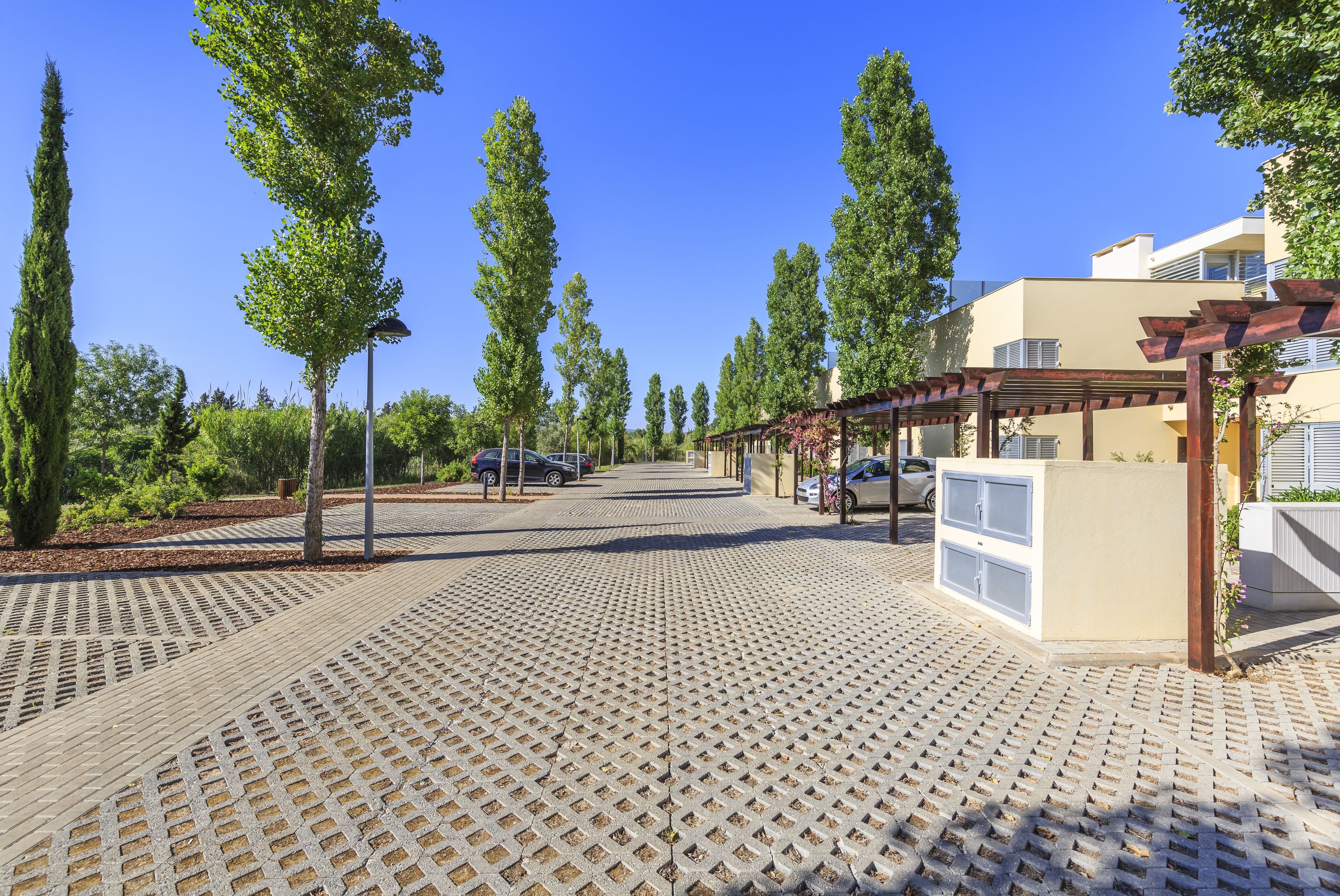 A paved walkway with a patterned surface, lined with trees and a building with a pergola structure.
