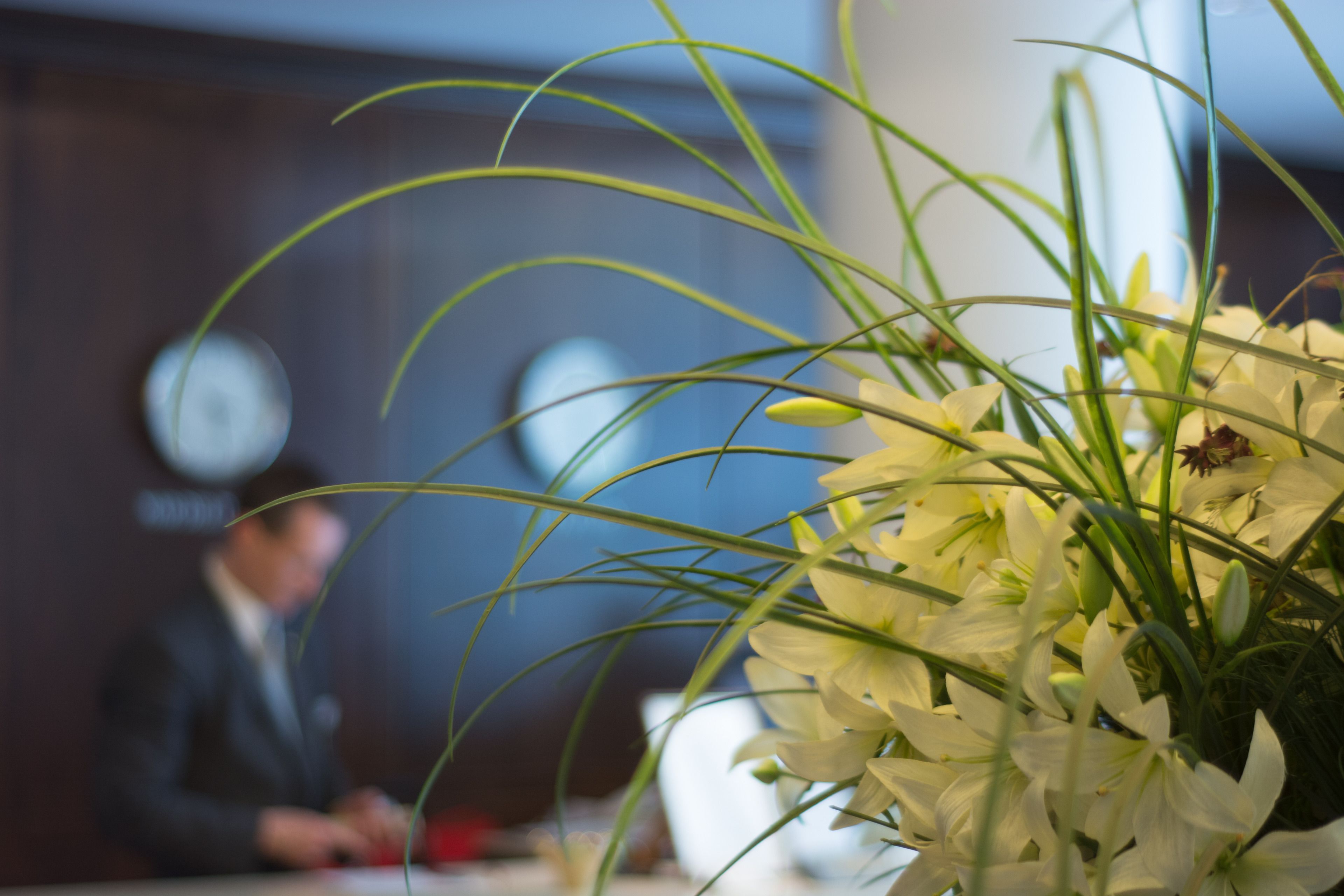 Foto - Hotel Dos Reyes