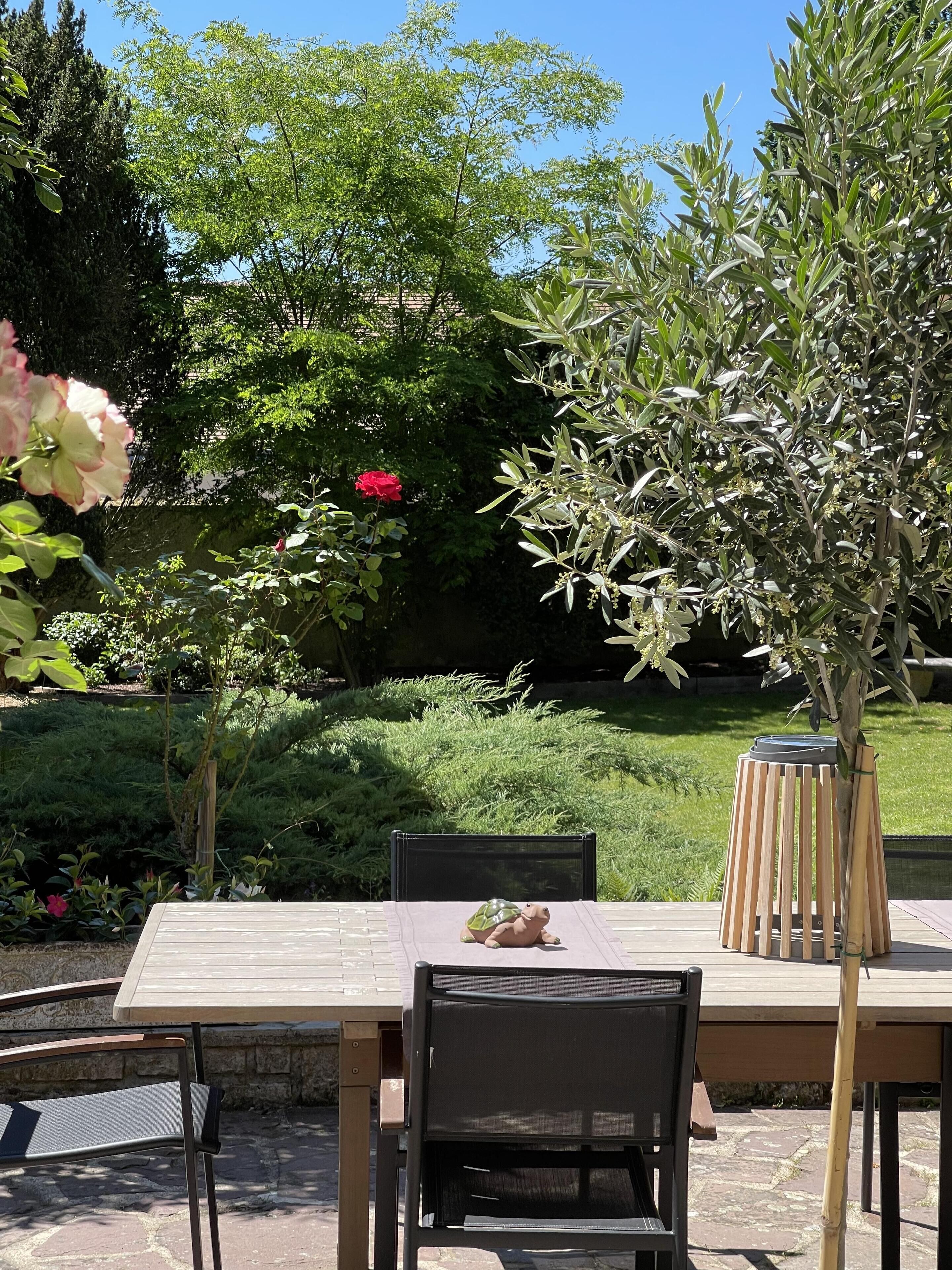 An outdoor patio with a table and chairs, surrounded by greenery and a red flower.