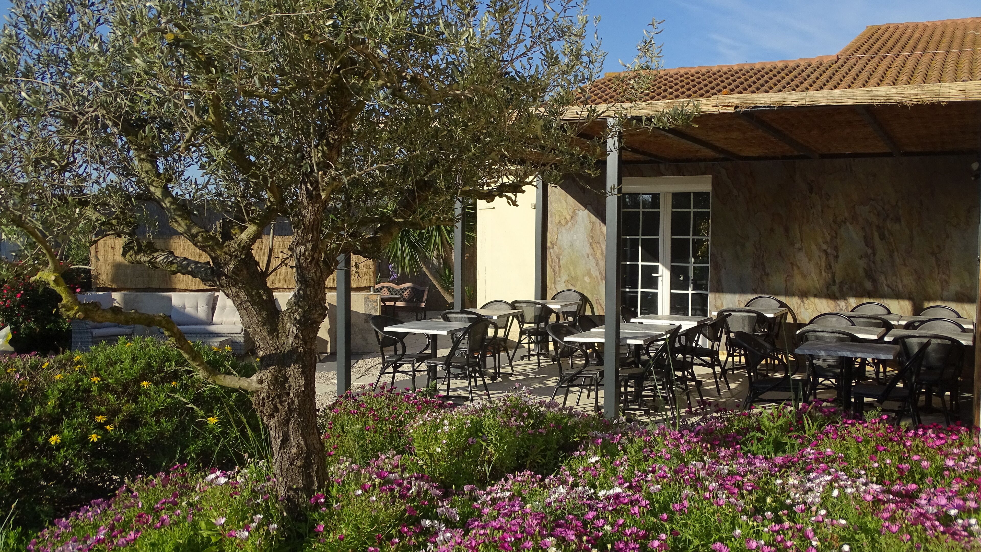 An outdoor seating area with tables and chairs, surrounded by flowering plants and an olive tree.
