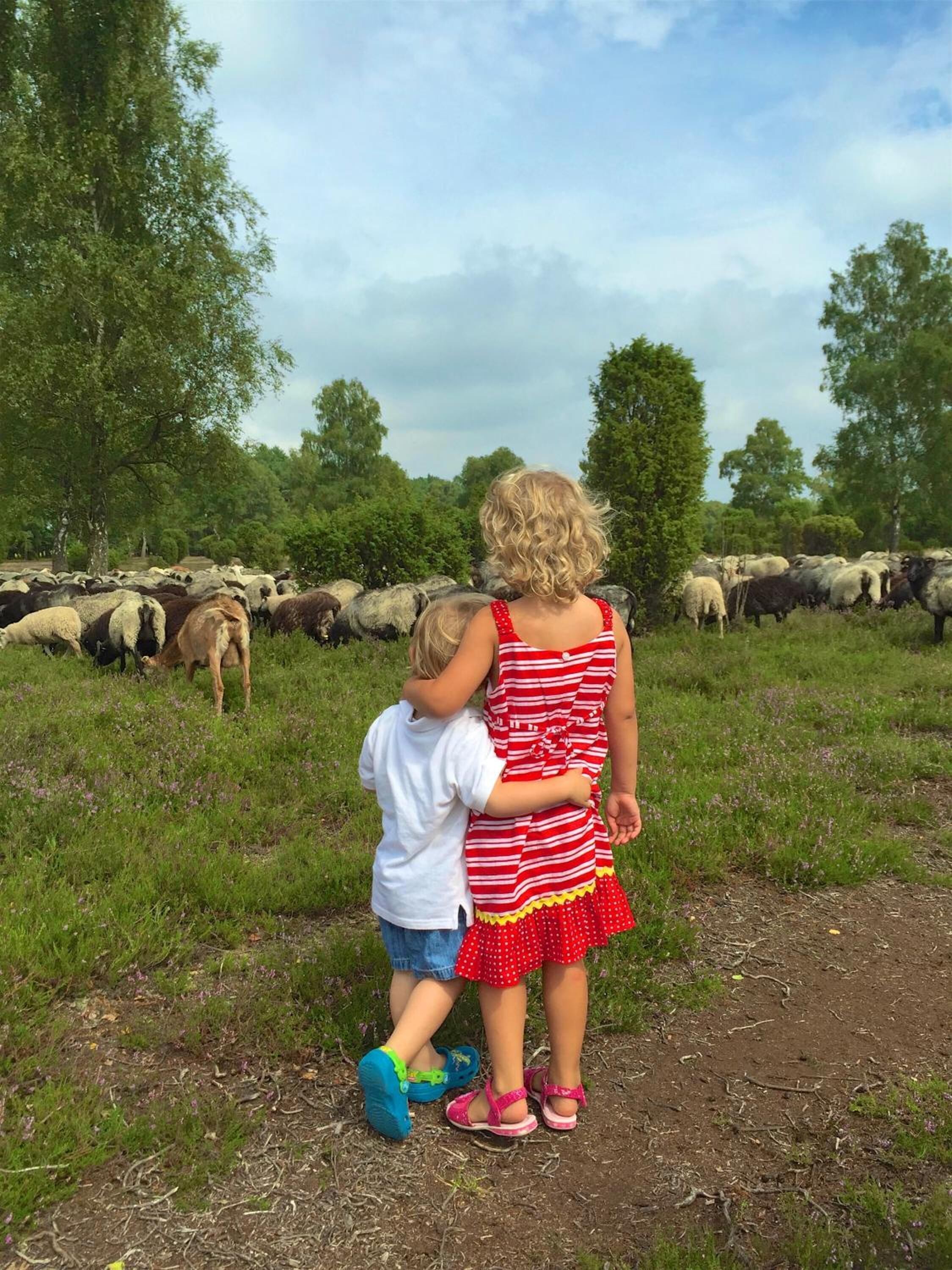 A woman and a child standing in a field with a herd of sheep in the background.