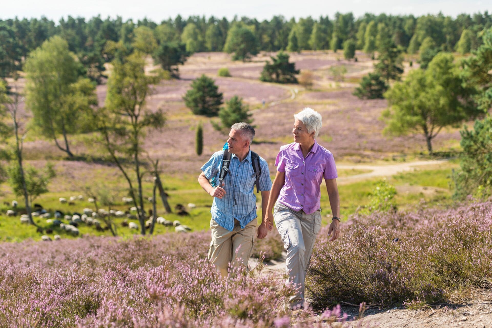 Two people walking in a field with purple flowers, surrounded by trees and a hilly landscape.