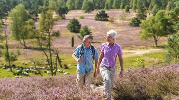 Two people walking in a field with purple flowers, surrounded by trees and a hilly landscape.