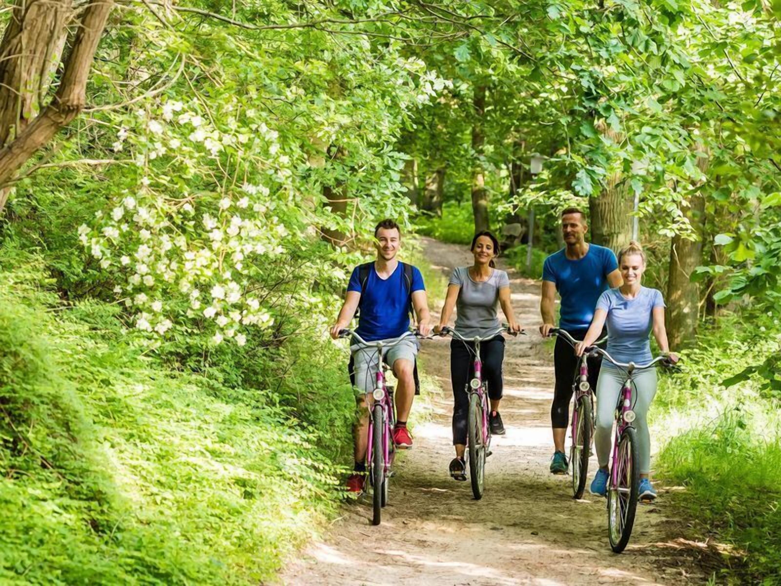 Four people on bicycles on a dirt path surrounded by greenery.