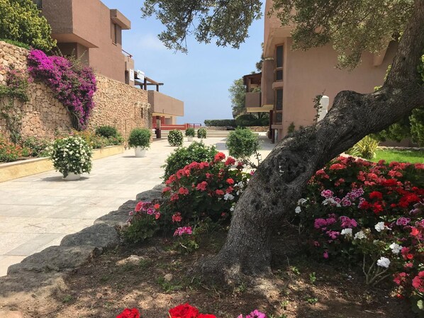 Enceinte de l’hébergement