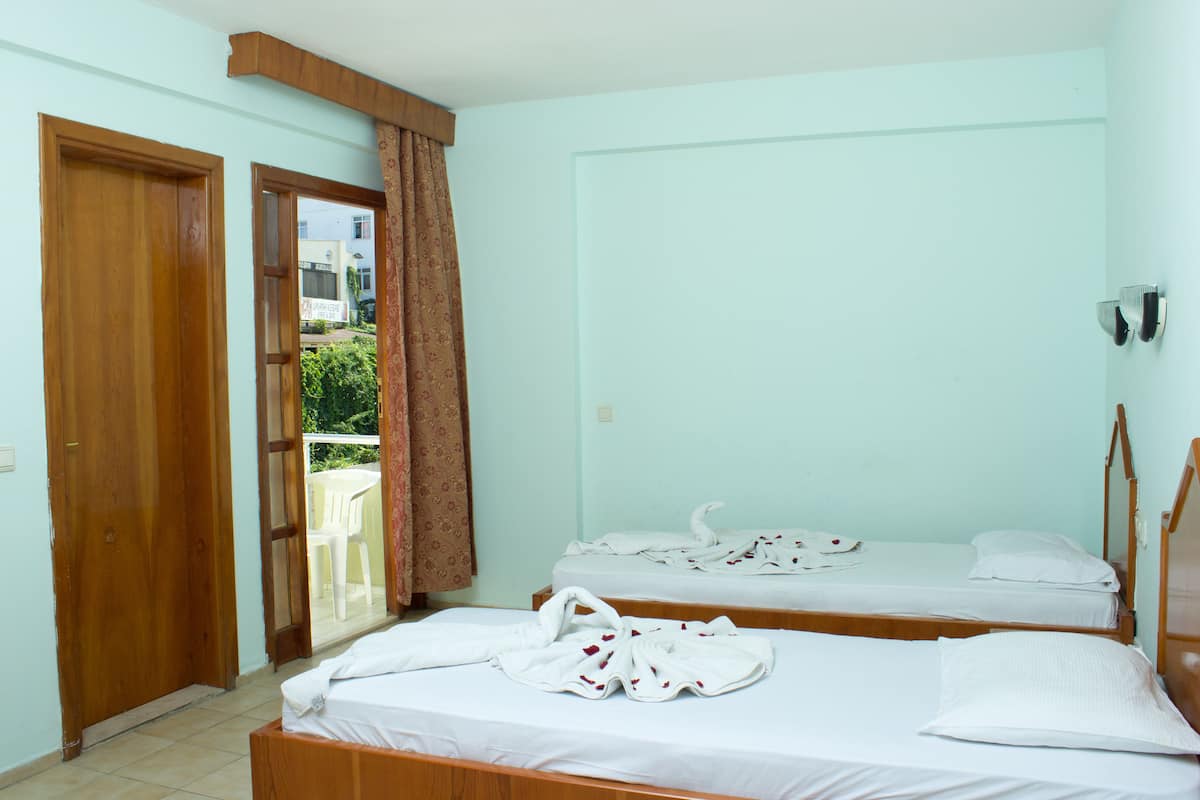 A hotel room with two single beds, a wooden door, and a view of the outside through a glass door.