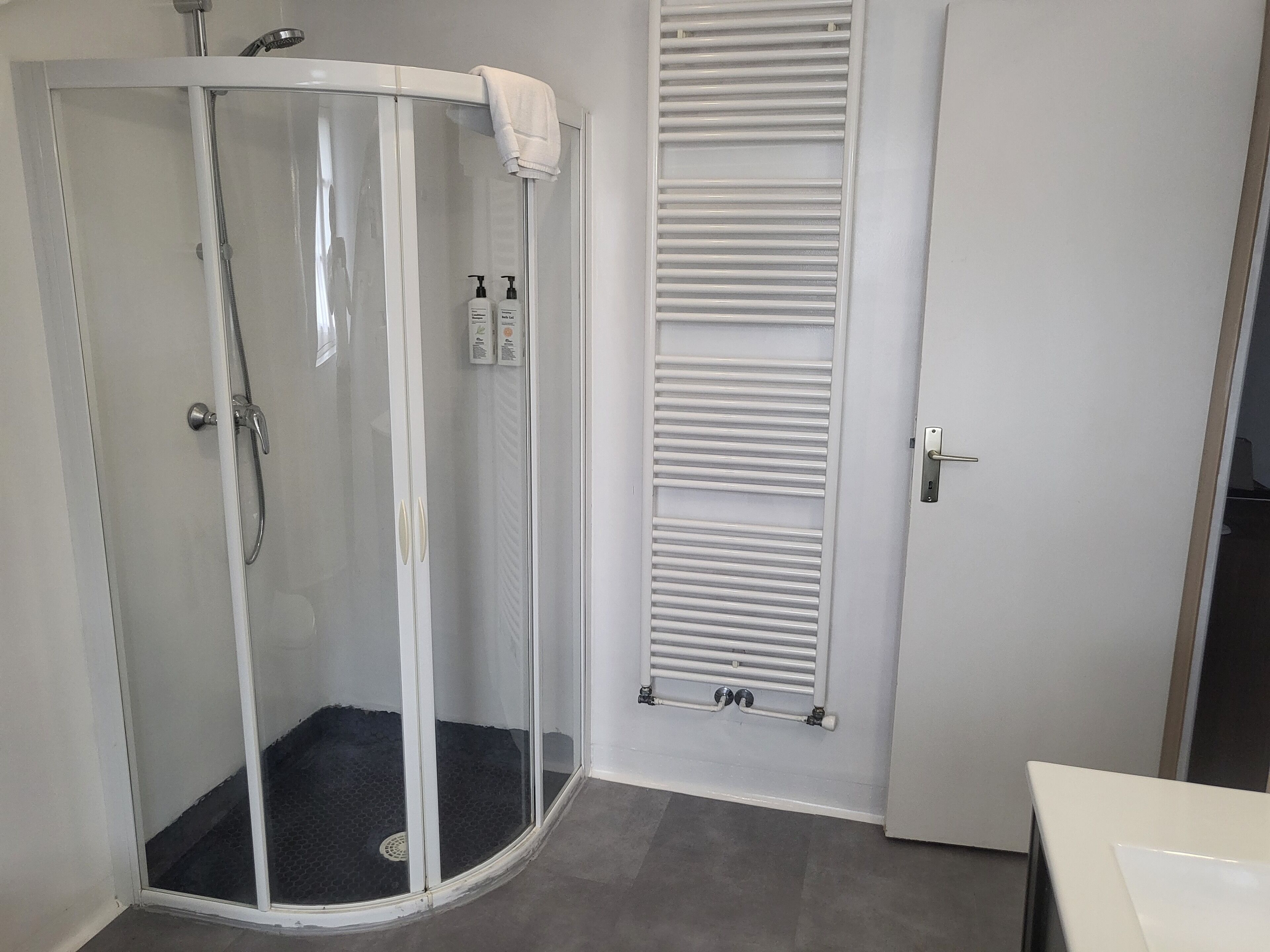 Een moderne badkamer met een glazen douchecabine, een witte deur en een ingebouwde handdoekhouder.