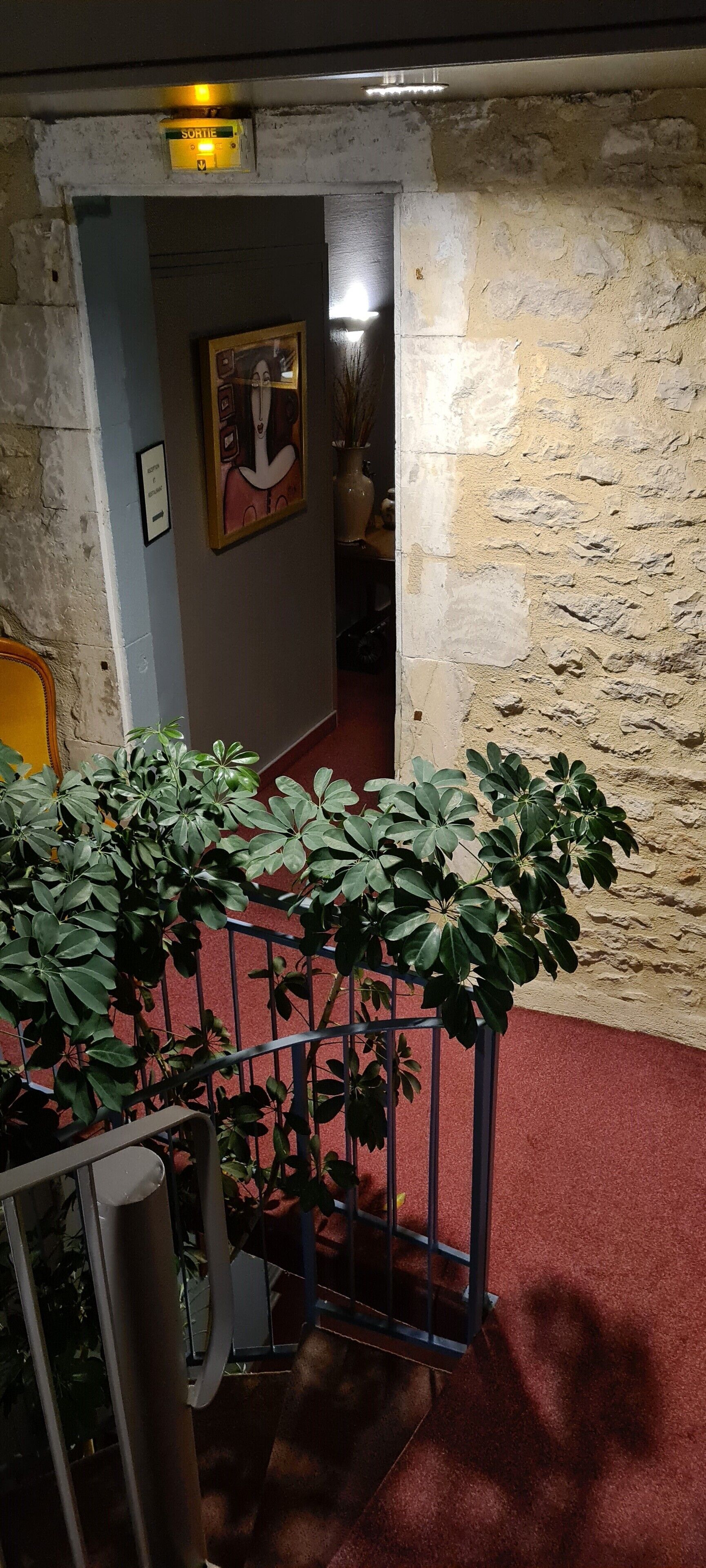 A staircase with a metal railing, a potted plant, and a stone wall.