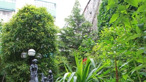 A courtyard with a stone fountain, potted plants, and a statue.