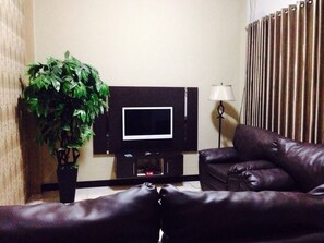 A living room with a flat-screen TV on a stand, a dark leather sofa, a potted plant, and a lamp.