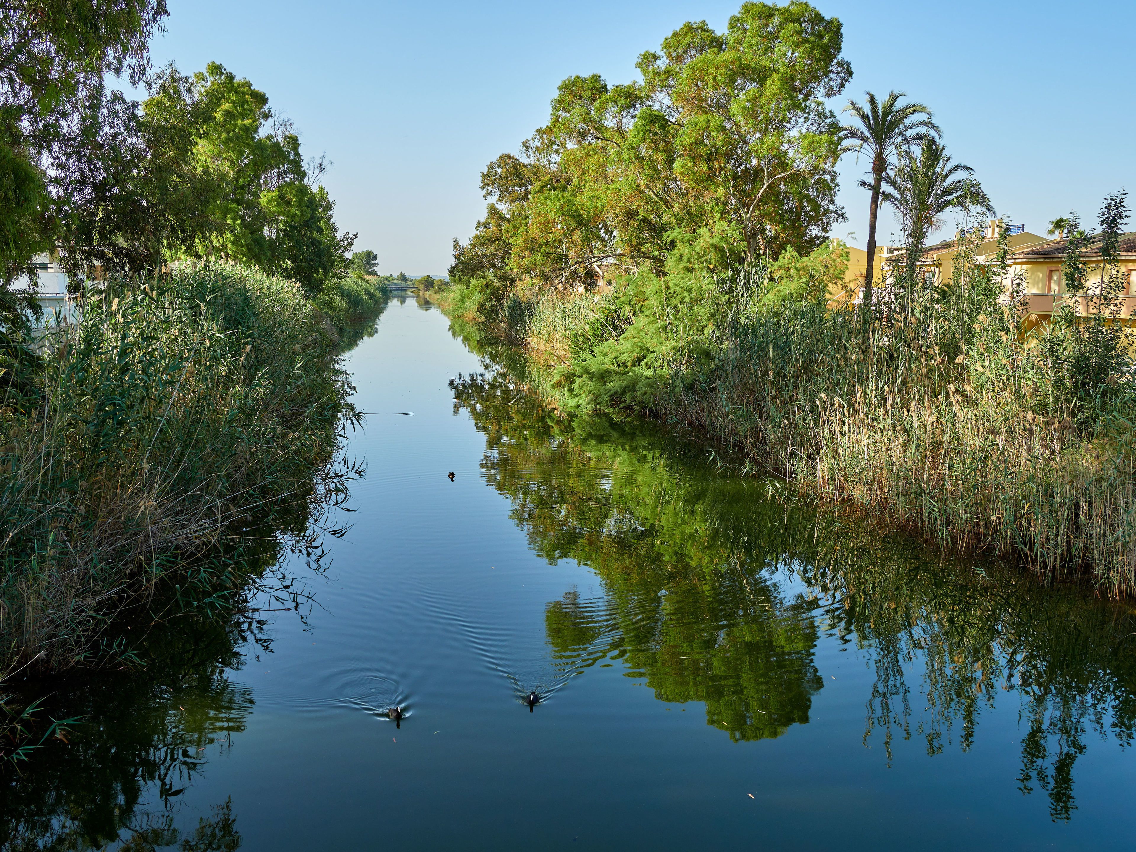 Foto - BQ Alcudia Sun Village