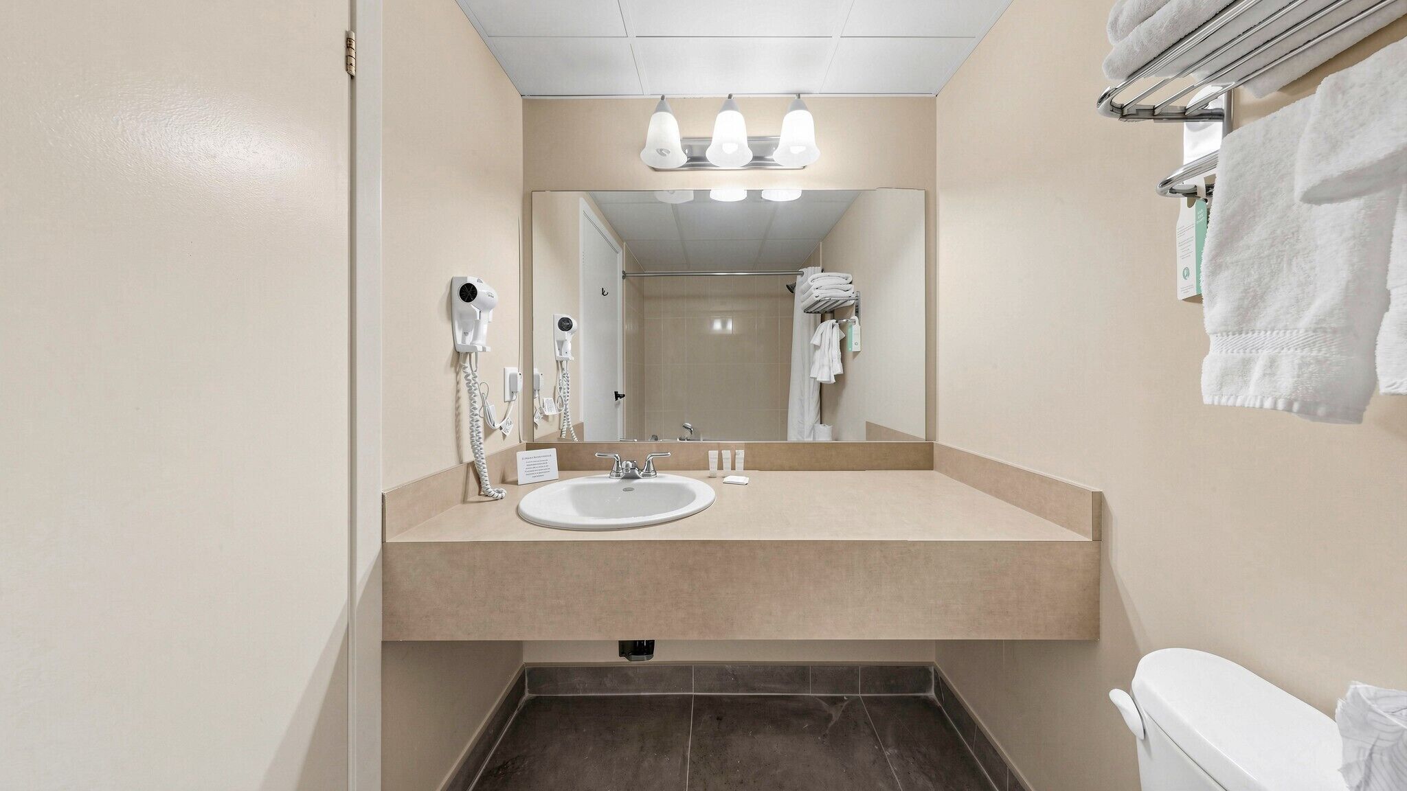 Quarto standard, 2 camas Queen | Banheiro | Produtos de toalete grátis, toalhas de banho