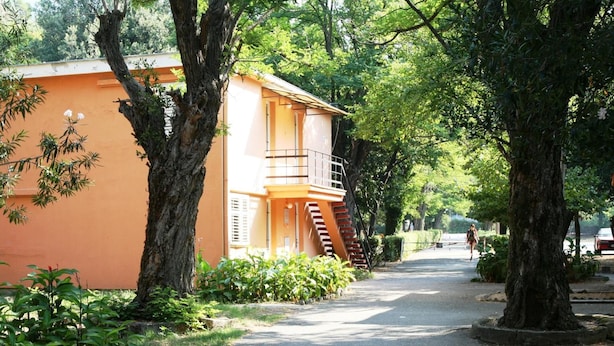 Property grounds - Kamelija (Tivat)