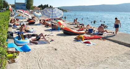 Kamelija