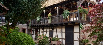 La Cour de Lise