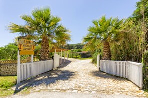 A pathway leading to a property named 'Liuba Holiday Houses' with stone paving and palm trees on either side. - Liuba Houses (Zakynthos)