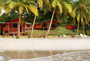 Vista desde la propiedad