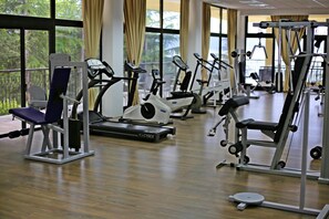 A gym with cardio machines, weightlifting equipment, and a large window with a view of trees. - Metropol Hotel (Ohrid)