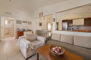 Télévision à écran plat, cheminée, console de jeux vidéo, lecteur de DVD