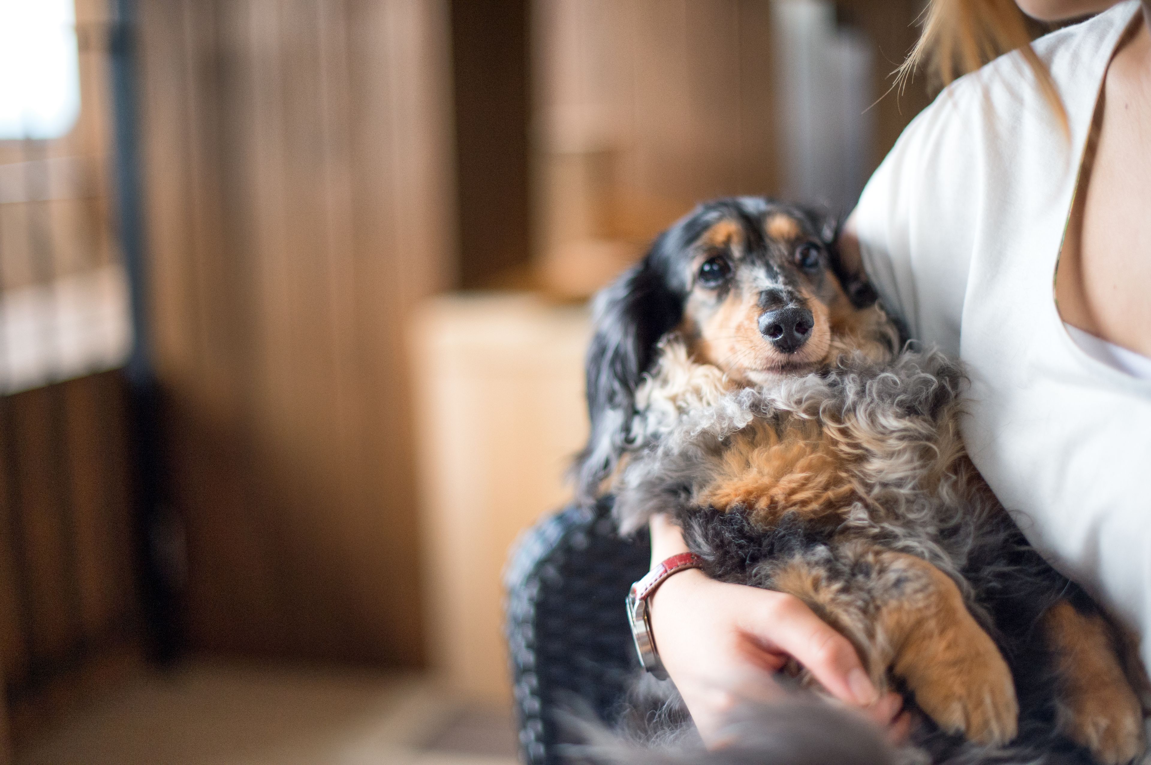 combined shower/bathtub, free toiletries, hair dryer, slippers