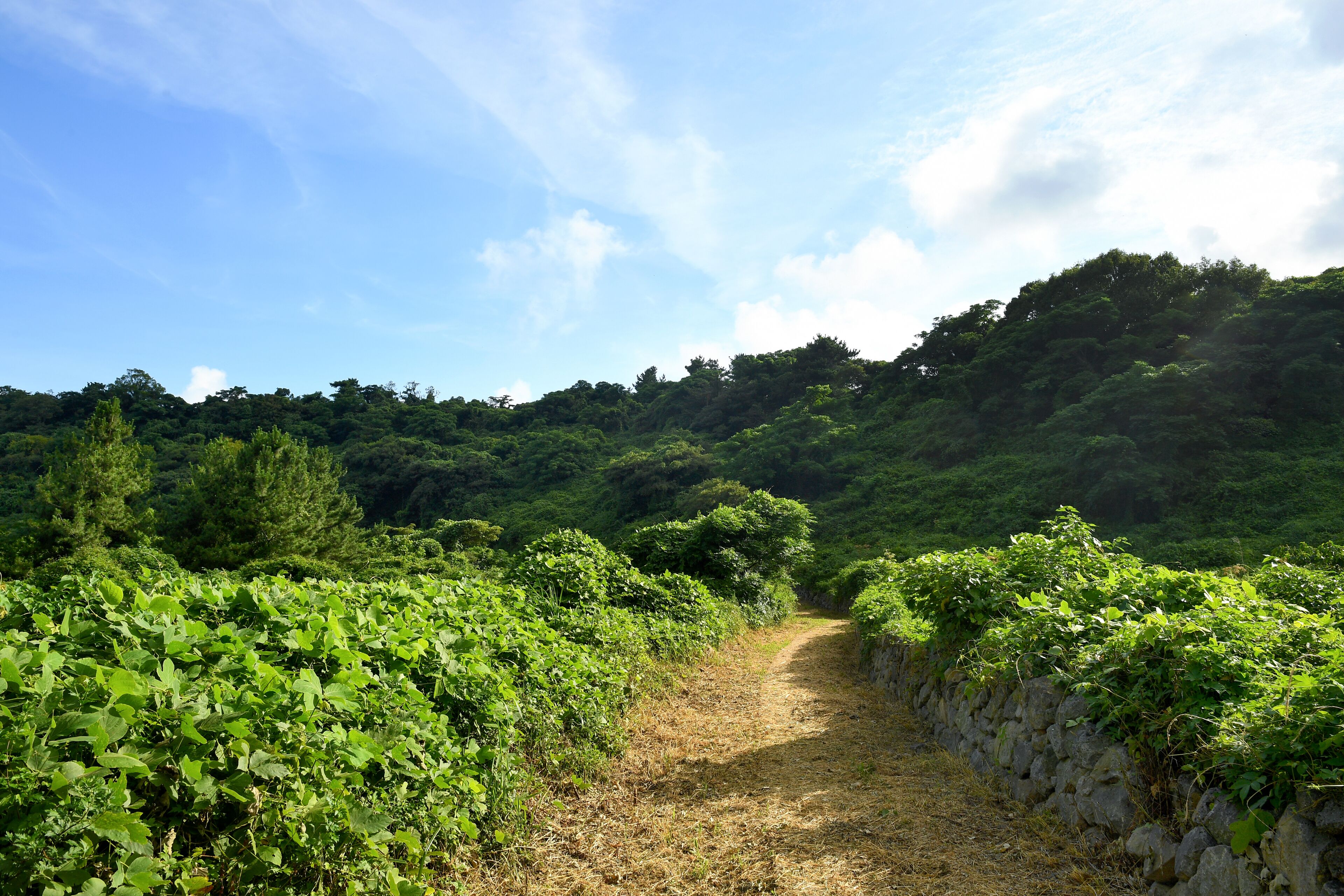 Foto - Hidden Cliff Hotel & Nature