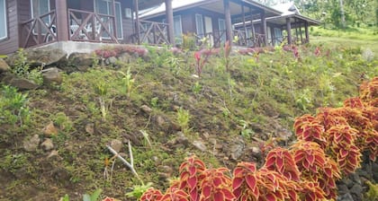 Tiavi Mountain Cabins