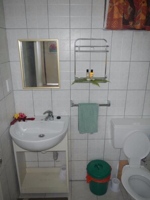 Ducha, toallas, jabón, papel higiénico