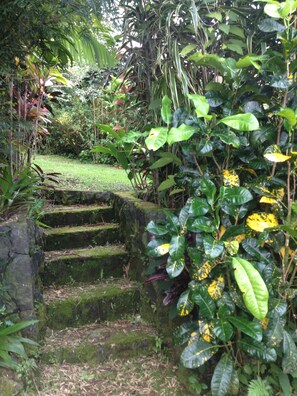 Tuin