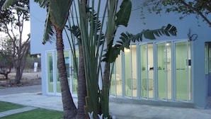 Un bâtiment doté d’une façade en verre, un espace verdoyant agrémenté de sculptures de lapins décoratifs et un palmier.