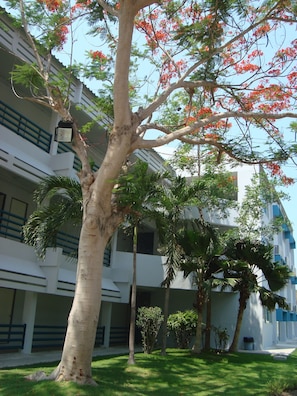 Porch - Addera Residence Hua Hin (Hua Hin)