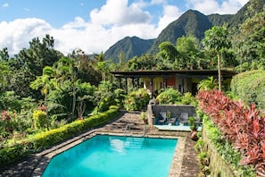 Outdoor pool - The Golden Frog Inn (El Valle de Anton)
