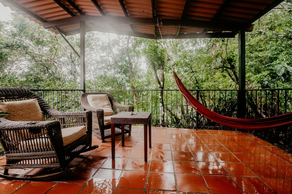 The Golden Frog Inn by null