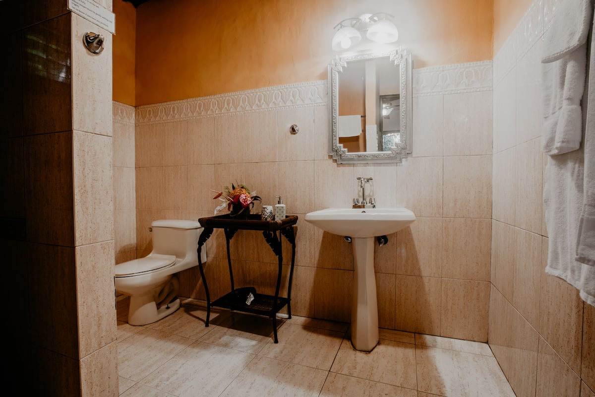 standard double room, 1 queen bed | bathroom | shower, free toiletries, hair dryer, towels