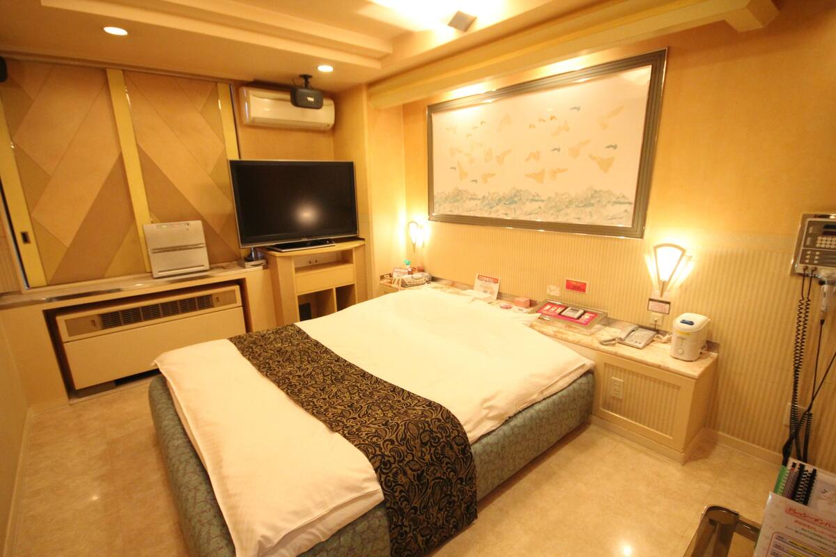 A hotel room with a bed, a television, a desk with a telephone, and a wall-mounted air conditioner.