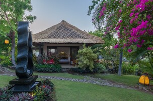 Ăreas de la propiedad