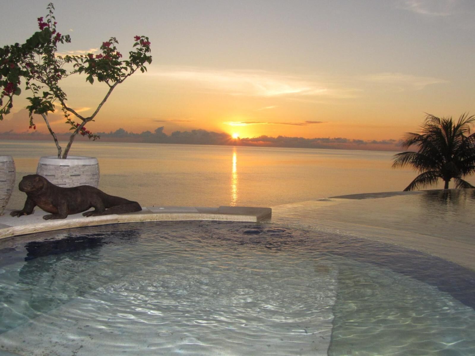 A pool with a sunset view, a statue, and a palm tree.