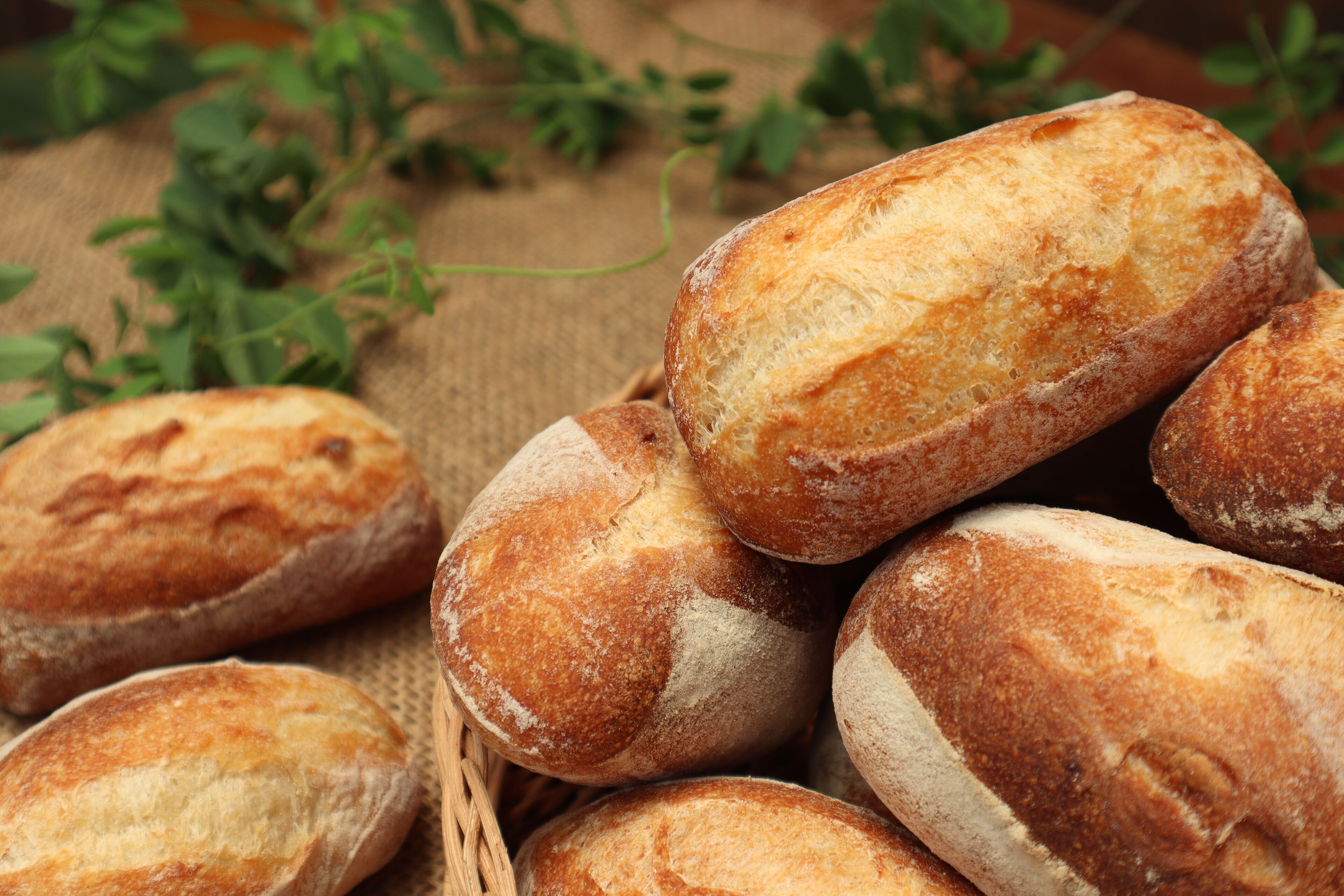 Ein Korb mit frisch gebackenem Brot, rustikal anmutend, auf einer Jutematte. Im Hintergrund sind grüne Kräuter zu sehen.