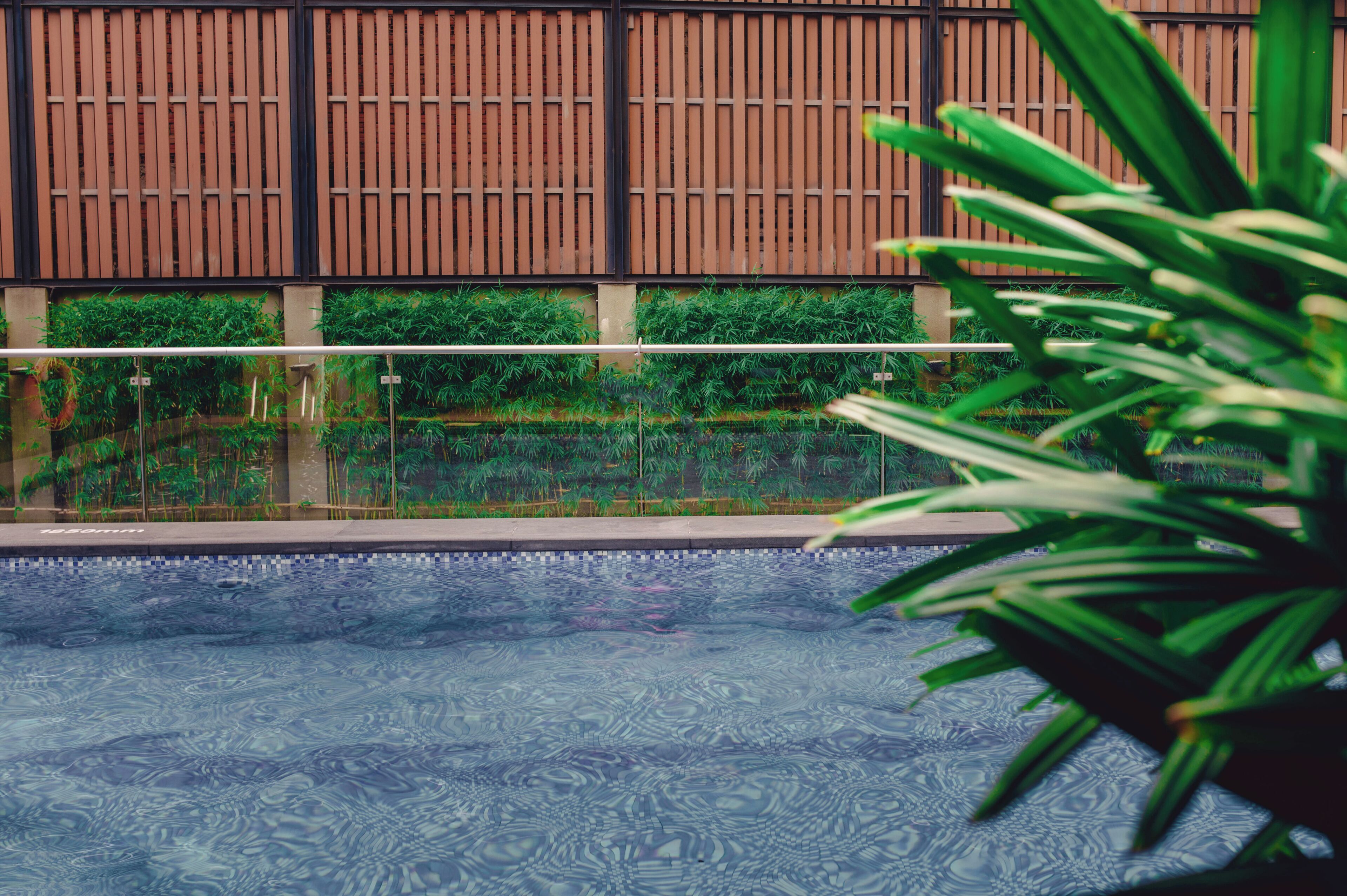 A swimming pool with a tiled edge, surrounded by a wooden fence and greenery.