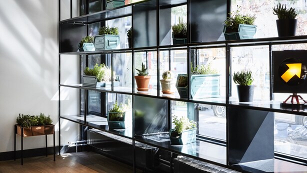 A modern interior with a black metal shelving unit displaying various potted plants. - Generator Stockholm (Stockholm)
