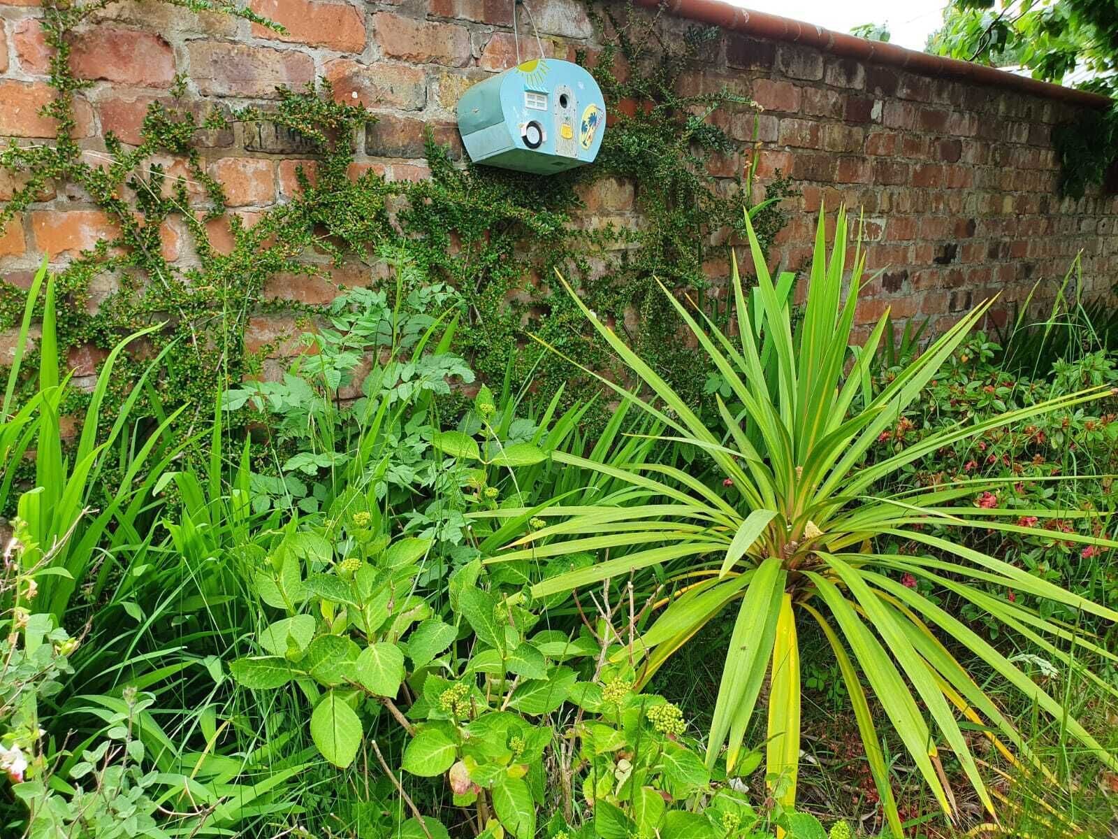 Un jardín con diversas plantas, incluyendo una destacada planta de agave, frente a un muro de ladrillo con un comedero para pájaros.