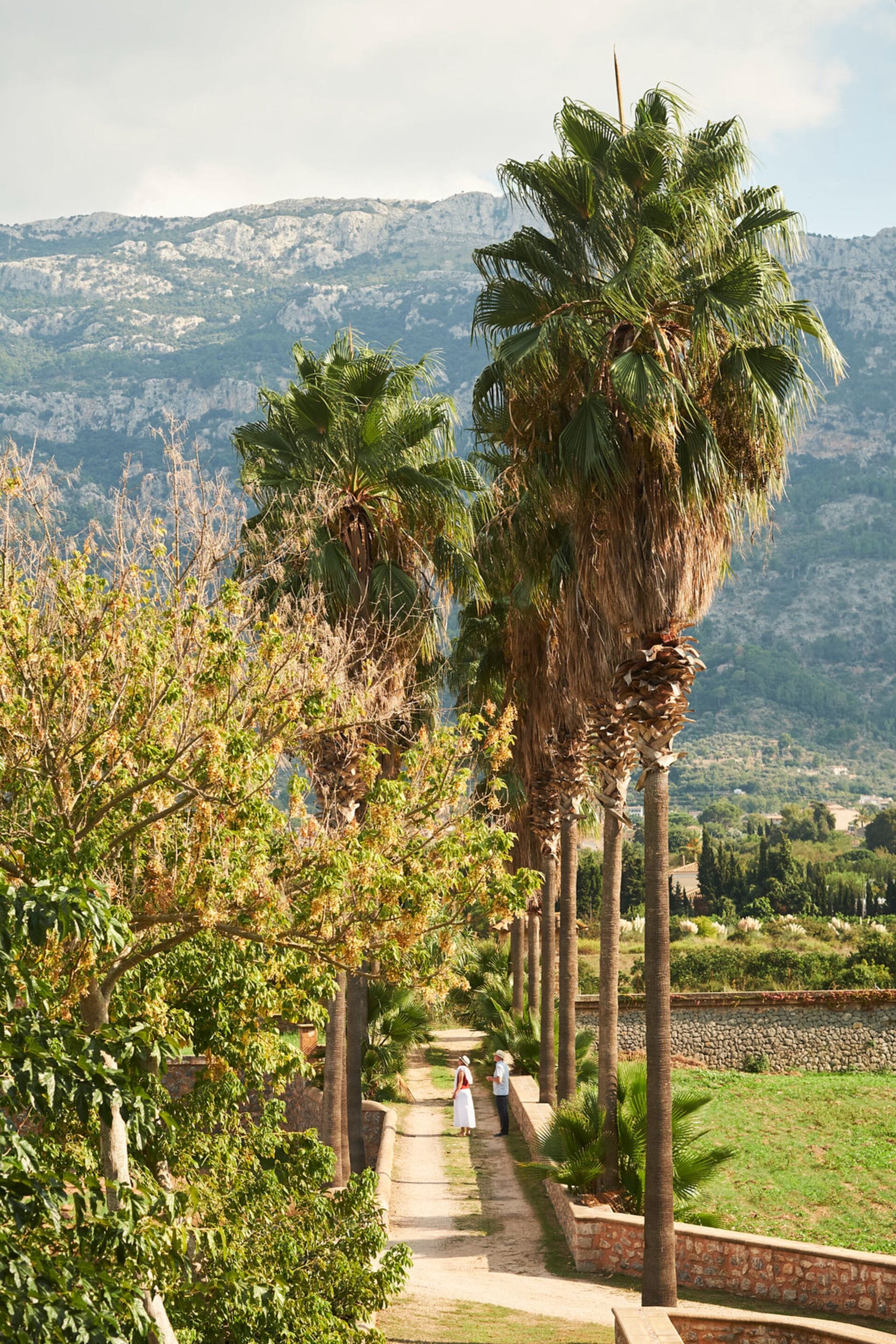 Foto - Hotel Finca Ca N'ai - Adults Only