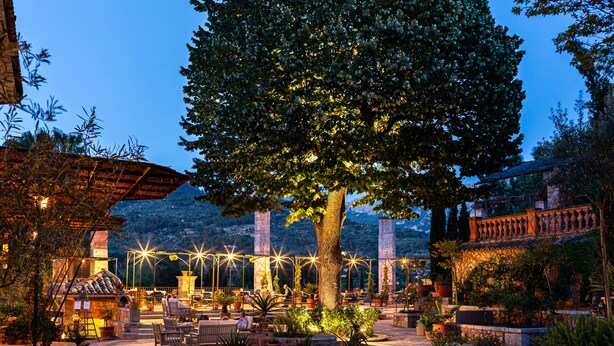 An outdoor patio area with seating, potted plants, and a large tree.