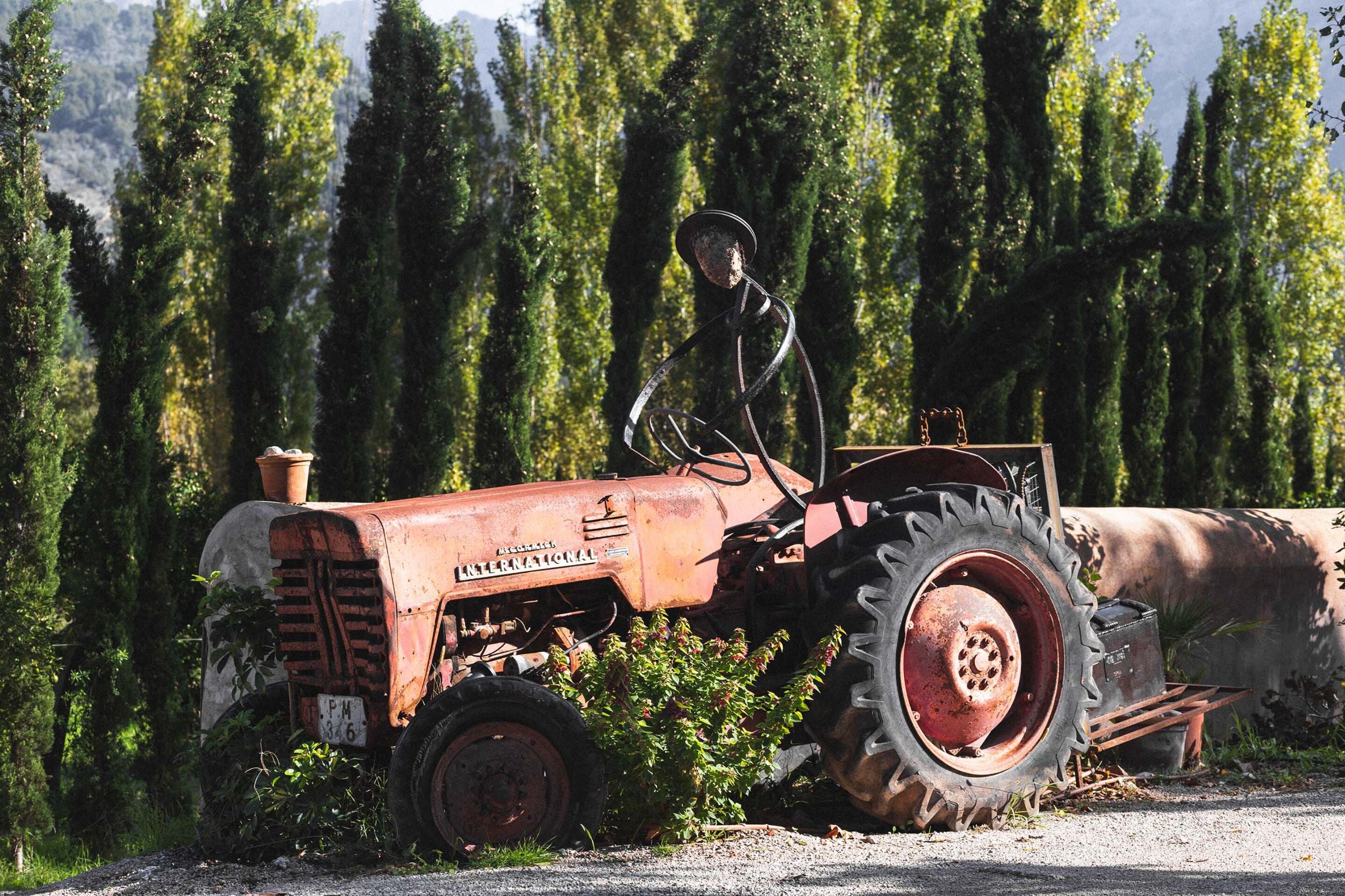 Foto - Hotel Finca Ca N'ai - Adults Only