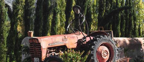 Un vieux tracteur sur lequel est assis un individu, entouré de verdure et d’arbres.